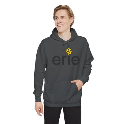 Erie Pickleball Hoodie