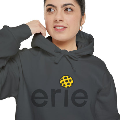 Erie Pickleball Hoodie